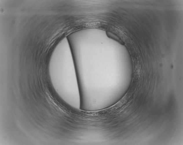 X0000052610744200507221659