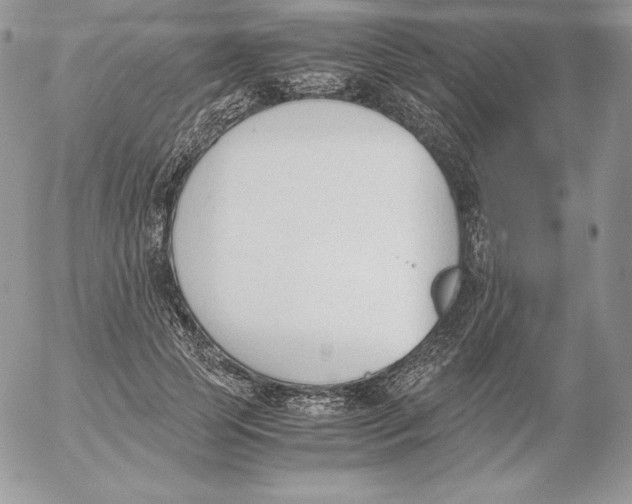 X0000052610745200507221659