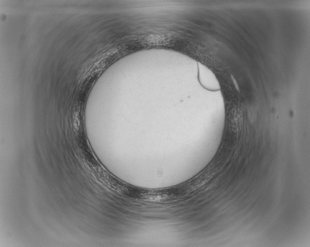 X0000052610746200507221659