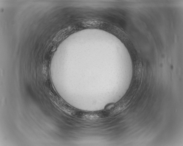 X0000052610749200507221659