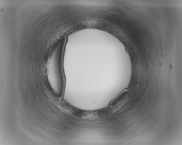 X0000052610750200507221659