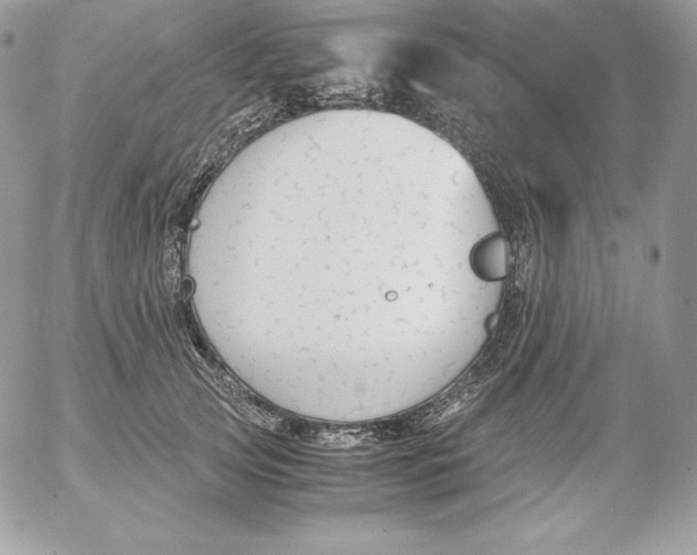 X0000052610753200507221659