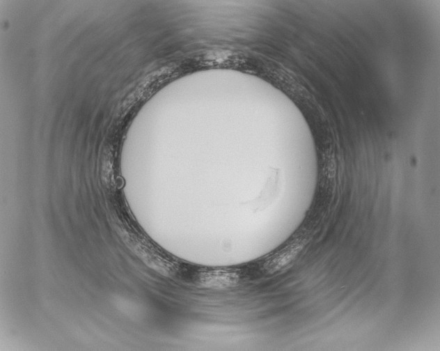 X0000052610754200507221659