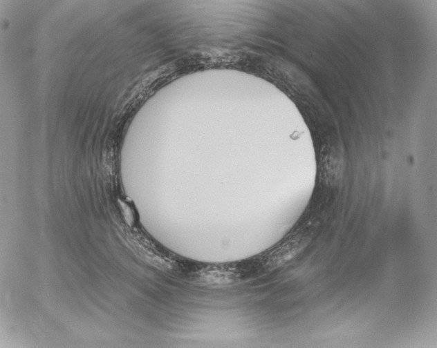 X0000052610756200507221659