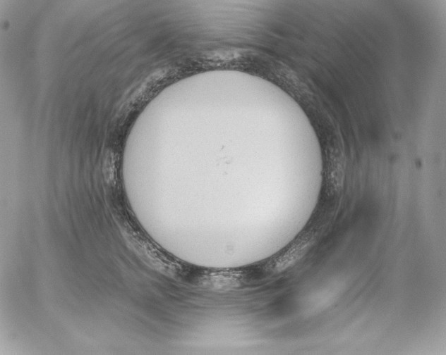 X0000052610758200507221659