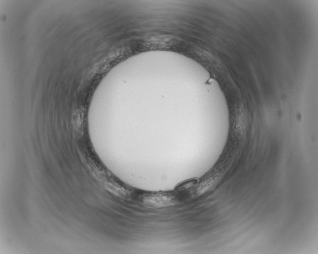 X0000052610759200507221659