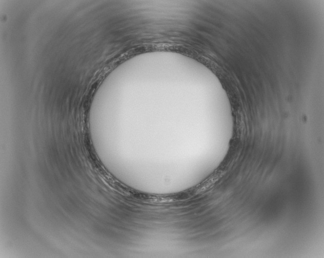 X0000052610760200507221659