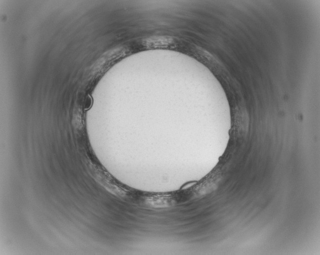 X0000052610761200507221659