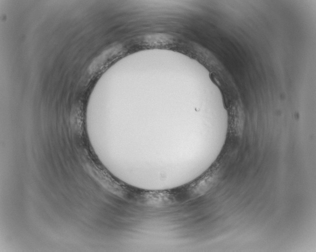 X0000052610762200507221659