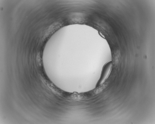 X0000052610764200507221659