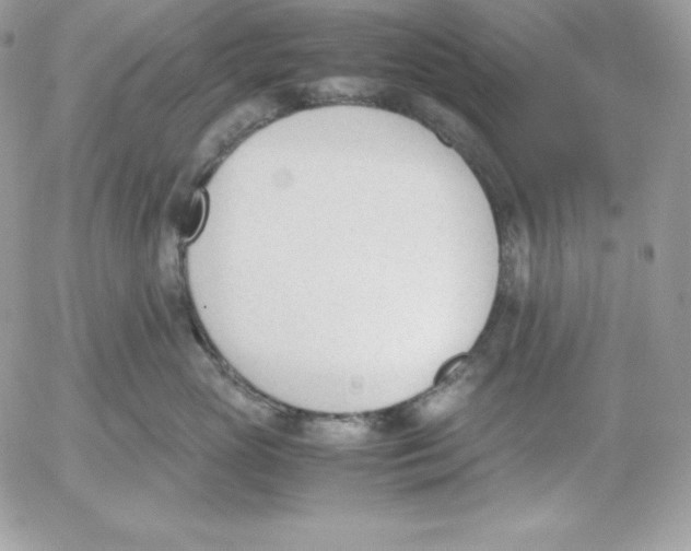 X0000052610765200507221659