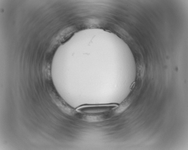 X0000052610766200507221659