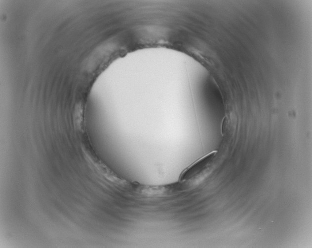 X0000052610767200507221659