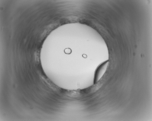 X0000052610768200507221659