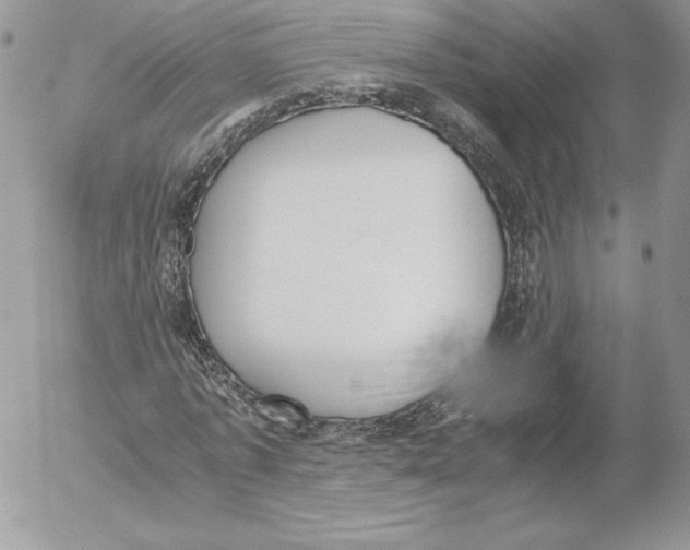 X0000052610773200507221658