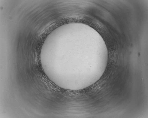 X0000052610774200507221658