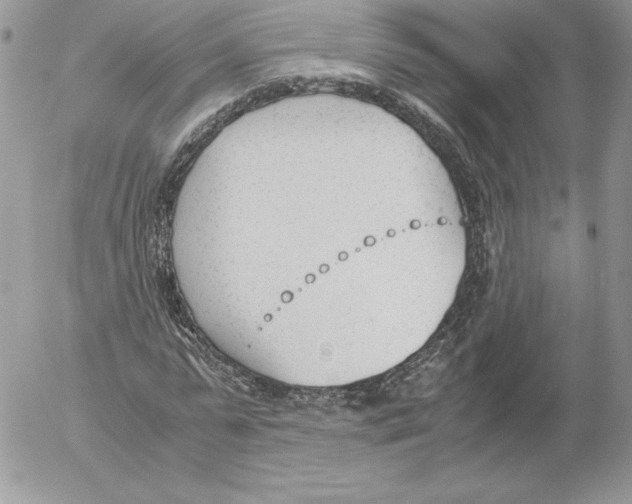 X0000052610775200507221658