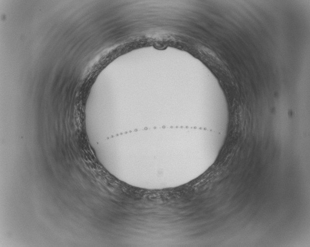 X0000052610776200507221658