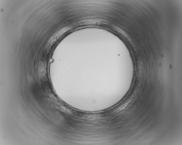 X0000052610778200507221658