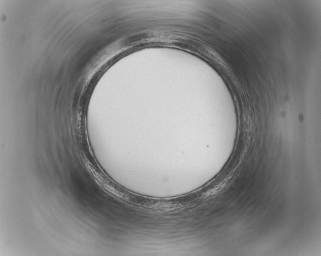 X0000052610779200507221658