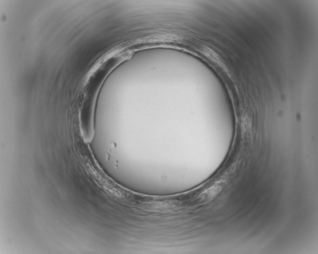 X0000052610781200507221658