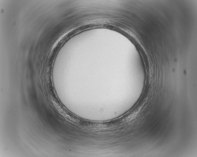 X0000052610783200507221658