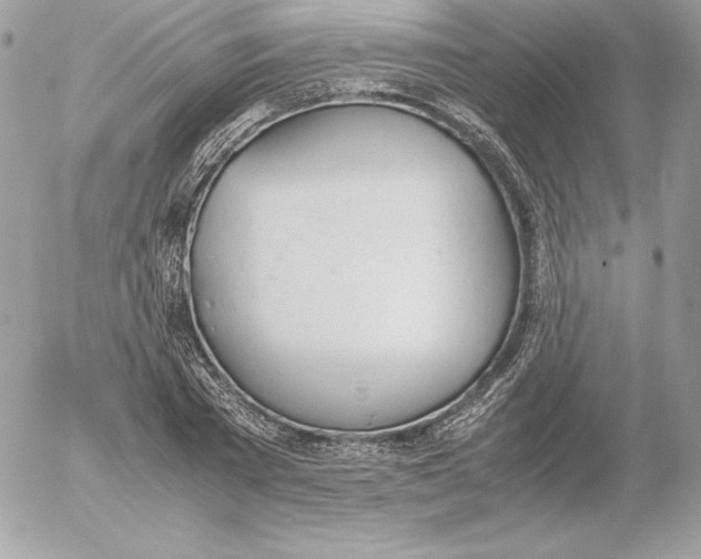 X0000052610785200507221658