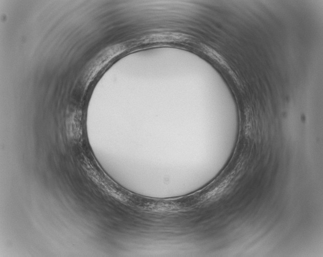 X0000052610786200507221658