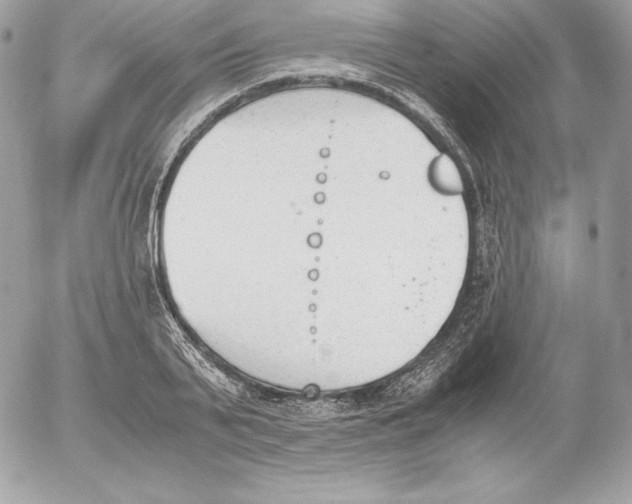 X0000052610791200507221658