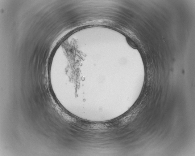 X0000052610792200507221658