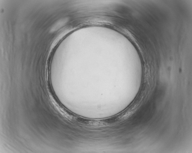 X0000052610795200507221658