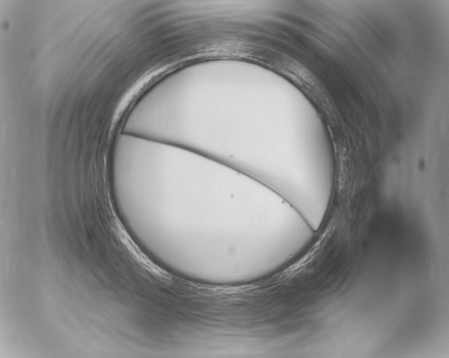 X0000052610796200507221658