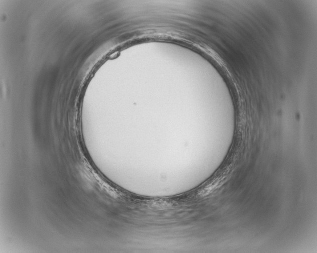 X0000052610799200507221658