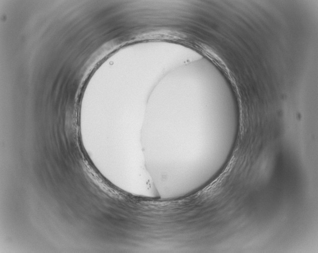 X0000052610800200507221658