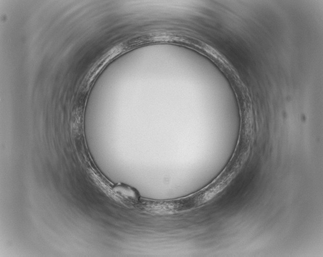 X0000052610801200507221658