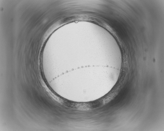 X0000052610803200507221658