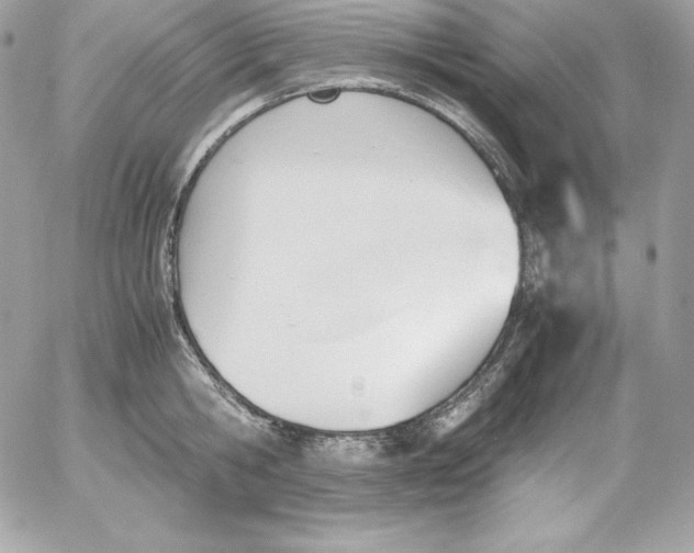 X0000052610806200507221658