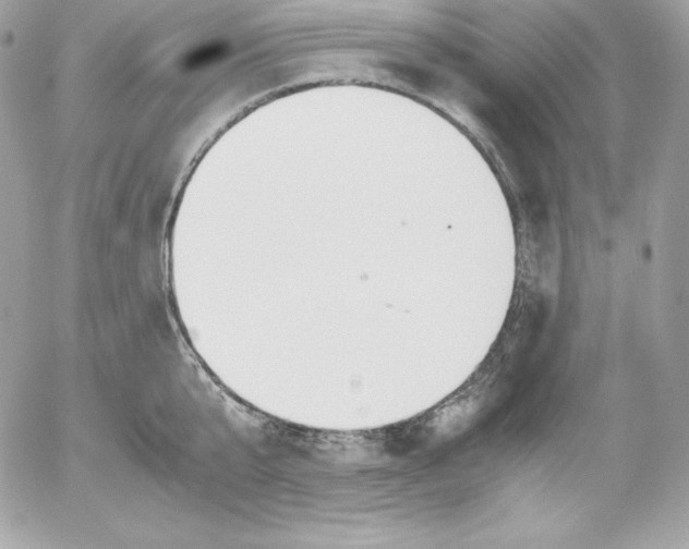 X0000052610807200507221657