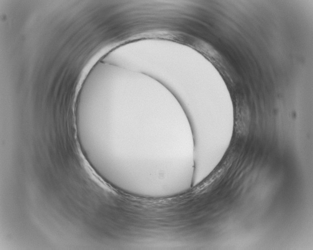 X0000052610808200507221657