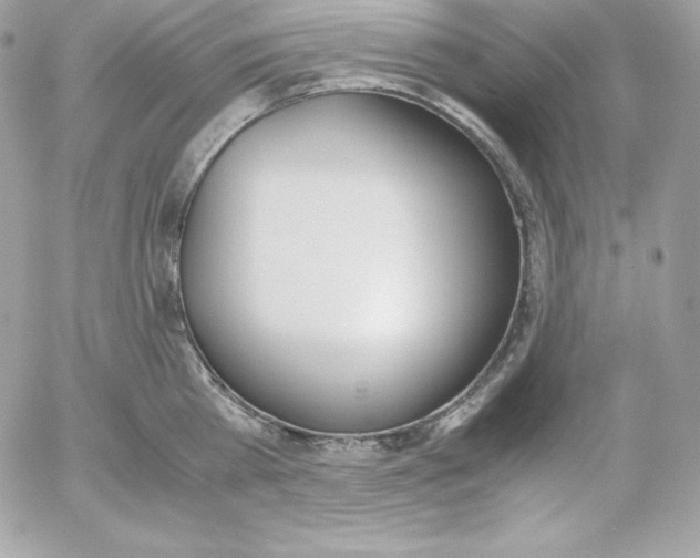 X0000052610809200507221657