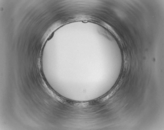 X0000052610810200507221657