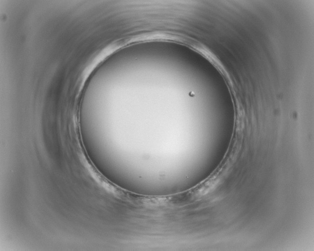 X0000052610813200507221657