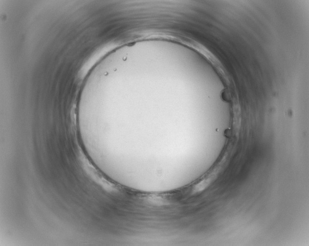 X0000052610814200507221657