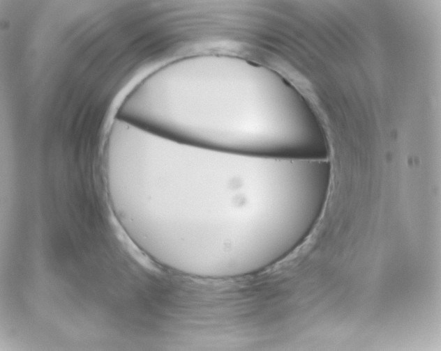 X0000052610816200507221657