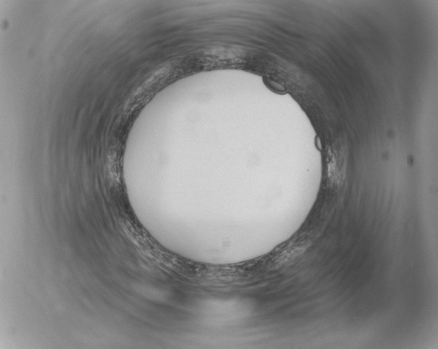 X0000052610819200507221657