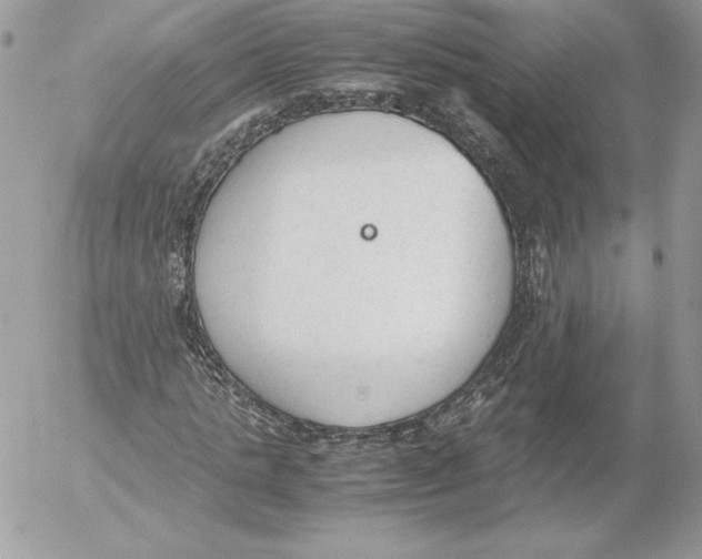 X0000052610821200507221657