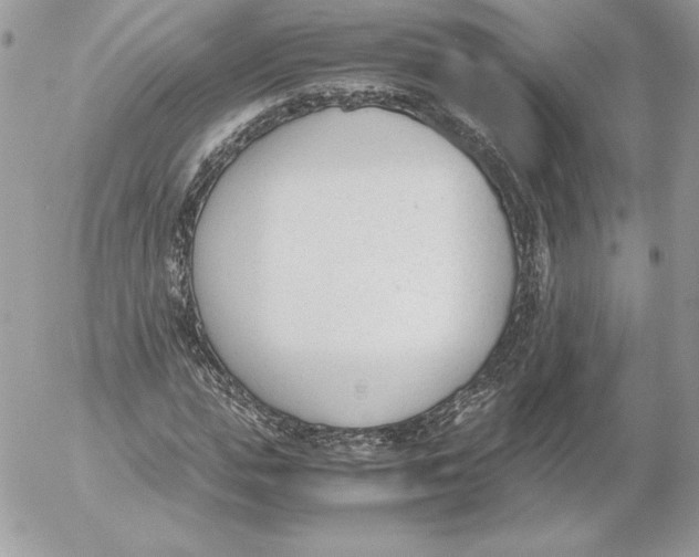 X0000052610823200507221657