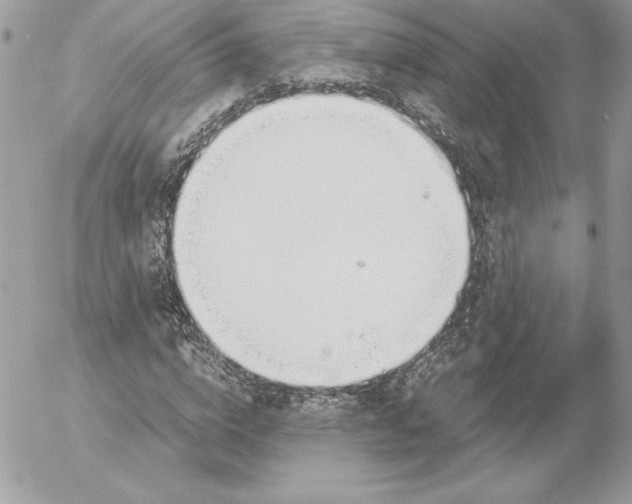 X0000052610824200507221657