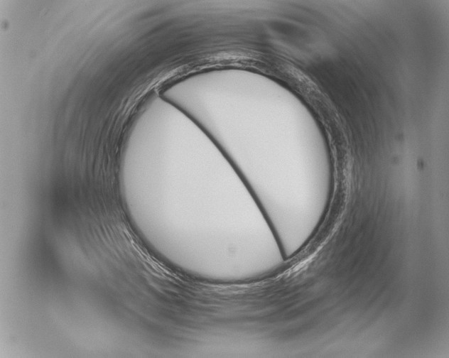 X0000052610825200507221657