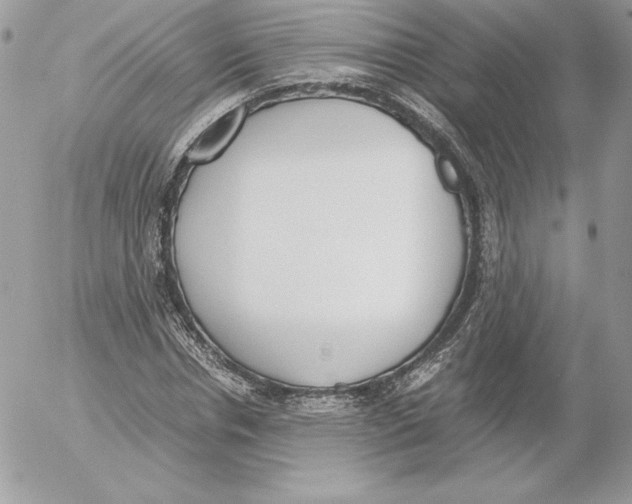 X0000052610826200507221657